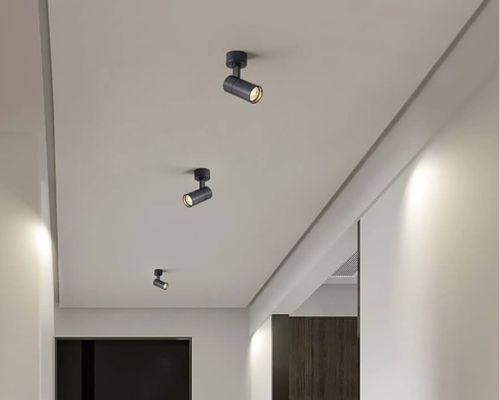 ceiling down light fixture